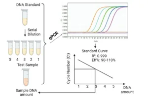 RNA Detection Assay Kits