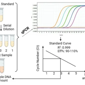 RNA Detection Assay Kits