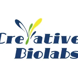 Creative Biolabs